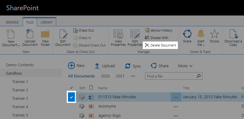 Screenshot of a file with the checkbox marked and delete document button highlighted.