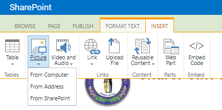The Insert tab in the ribbon opened and the Picture button clicked, showing picture options.